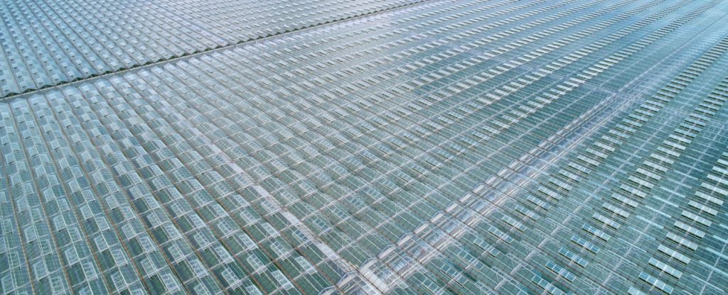 פוליקרבונט